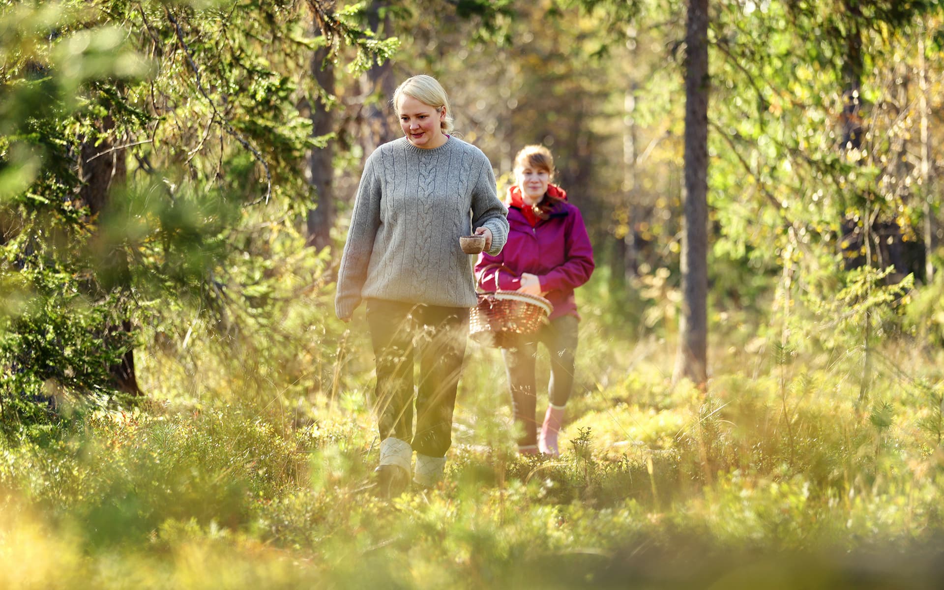 Summer Holiday Packages in Ruka – Accommodation & Activities Combined ...